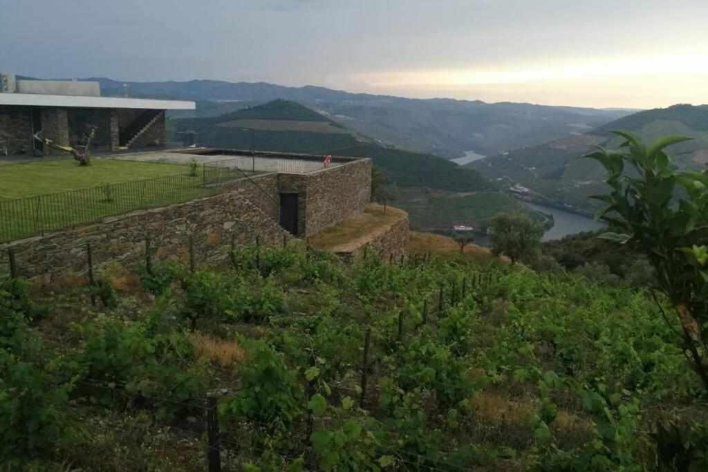 Quinta Vale Papas